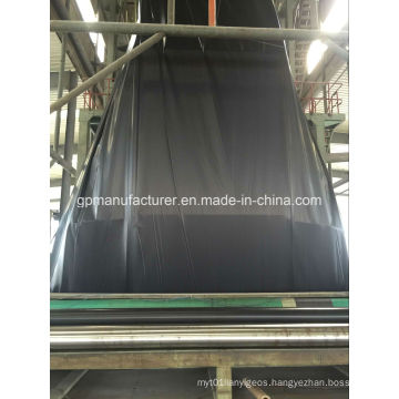 Salf Project Geomembrane